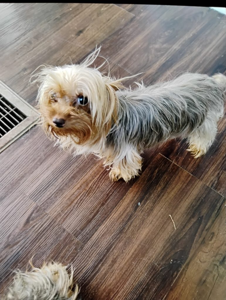Ellie mae